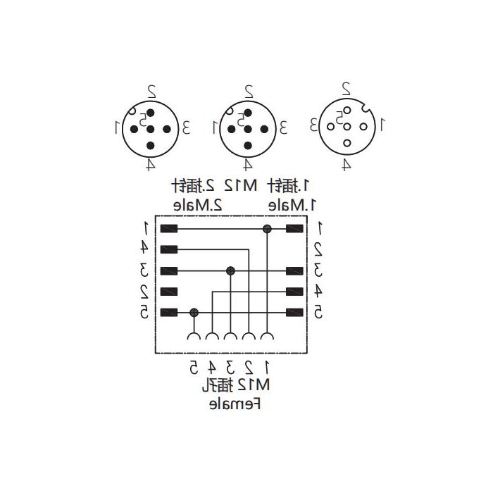 M12 5Pin female /2M12 5Pin male, Tee, 644446